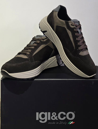 sneakers IGI&CO